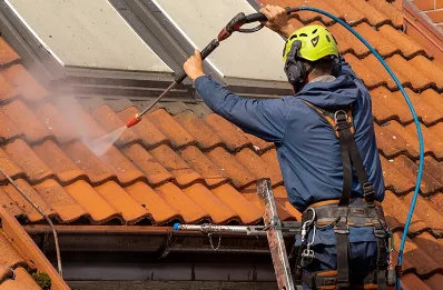 Démoussage et hydrofuge de toiture à Carbuccia